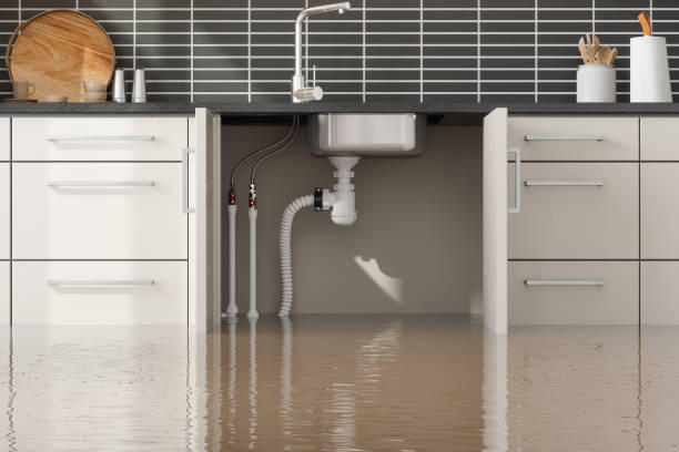 Best Commercial water damage restoration  in USA